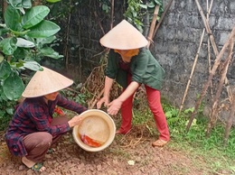 Phụ nữ xã Quảng Bị ra quân “Ngày Chủ nhật xanh”, tăng cường phòng chống sốt xuất huyết