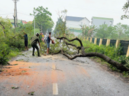 CÔNG AN XÃ KỊP THỜI XỬ LÝ CÂY ĐỔ SAU BÃO, ĐẢM BẢO AN TOÀN GIAO THÔNG