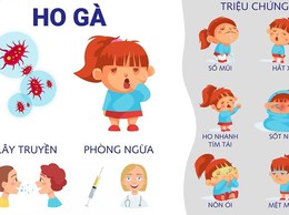 Tiêm chủng vắc xin đầy đủ để phòng ngừa ho gà hiệu quả