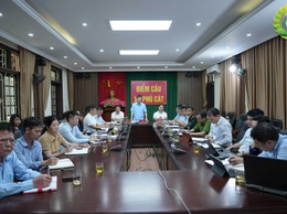 Phú Cát: Triển khai xây dựng phương án sử dụng đất liên quan Công ty CP Chè Long Phú