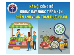 Hà Nội công bố đường dây nóng tiếp nhận phản ánh về an toàn thực phẩm