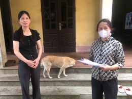 Xã Ô Diên triển khai tiêm vắc xin phòng bệnh dại cho đàn chó, mèo đợt 1 tập trung tại các nhà văn hoá thôn cụm dân cư, tổ dân phố năm 2026