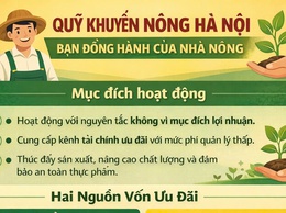 Quỹ Khuyến nông Hà Nội - Bạn đồng hành của người nông dân