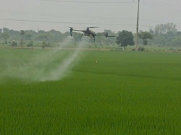 THÔN NGŨ LUÂN ỨNG DỤNG THIẾT BỊ BAY PHÒNG TRỪ BỆNH ĐẠO ÔN LÚA XUÂN