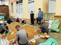 Trung tâm dịch vụ tổng hợp xã Phú Nghĩa tăng cường hướng dẫn diệt chuột bảo vệ lúa vụ xuân