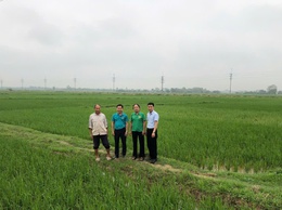 THẨM ĐỊNH THỰC TẾ PHƯƠNG ÁN VAY VỐN QUỸ HỖ TRỢ NÔNG DÂN