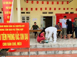 Chuyên Mỹ:Triển khai tiêm vắc xin phòng, dại cho đàn chó, mèo và tiêm phòng vắc xin cho đàn gia súc, gia cầm