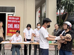 Long Biên tăng tốc tiêm phòng dại trên đàn chó mèo