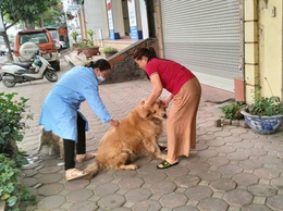 Xã Gia Lâm triển khai đồng bộ công tác tiêm phòng vắc xin cho đàn chó mèo, gia súc, gia cầm đợt 1 năm 2026