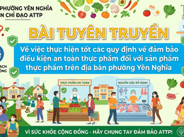 BÀI TUYÊN TRUYỀN: Về việc thực hiện tốt các quy định về đảm bảo điều kiện an toàn thực phẩm đối với sản phẩm thực phẩm trên địa bàn phường Yên Nghĩa
