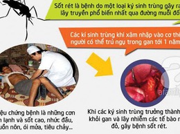 HƯỞNG ỨNG NGÀY THẾ GIỚI PHÒNG, CHỐNG SỐT RÉT 25/4/2026