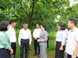 Các tổ chức chính trị - xã hội xã Phú Nghĩa thực hiện hiệu quả các nhiệm vụ chính trị của địa phương