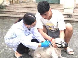 Xã Đoài Phương tăng cường tiêm phòng bệnh Dại, siết chặt quản lý đàn chó, mèo