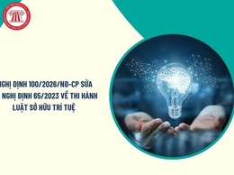 Toàn văn Nghị định số 100/2026/NĐ-CP ngày 31/3/2026 của Chính phủ sửa đổi, bổ sung một số điều của Nghị định số 65/2023/NĐ-CР ngày 23/8/2023 của Chính phủ