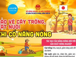 PHƯỜNG VĂN MIẾU – QUỐC TỬ GIÁM TĂNG CƯỜNG TUYÊN TRUYỀN PHÒNG, CHỐNG NẮNG NÓNG
