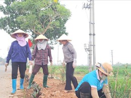 Phụ nữ xã Tiến Thắng nhân rộng mô hình 