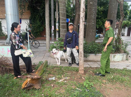 Cảnh báo tình trạng đánh bả chó, mèo: Nâng cao ý thức bảo vệ vật nuôi và an toàn cộng đồng