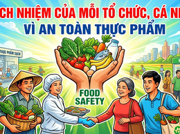 Trách nhiệm của tổ chức, cá nhân trong sản xuất, chế biến, kinh doanh thực phẩm