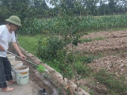 Cựu chiến binh Ngô Xuân Hợp: Sáng mãi phẩm chất 