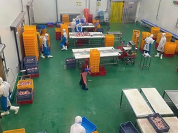 Xã Thường Tín: đẩy mạnh truy xuất nguồn gốc thực phẩm học đường trong 