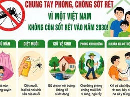 Hà Nội thực hiện tốt công tác phòng chống sốt rét, duy trì bền vững kết quả loại trừ bệnh