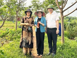 Chủ tịch Hội Nông dân TP Hà Nội khảo sát mô hình nông nghiệp hiệu quả tại xã Hát Môn