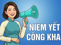 Thông báo công khai lấy ý kiến cơ quan, tổ chức, cộng đồng dân cư về Quy hoạch tổng mặt bằng tỷ lệ 1/500 các dự án: khu Đồng Gạo, xã Thọ Lộc cũ; khu tái định cư phía tây Phụng Thượng; khu Đồng Vặng xã Phúc Thọ