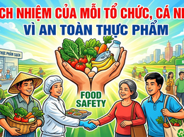 Đảm bảo An toàn thực phẩm đối với thức ăn đường phố