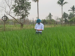Tiến Thắng chủ động phòng trừ sâu bệnh gây hại cây trồng vụ Xuân