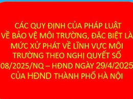 Quy định mức tiền phạt đối với hành vi vi phạm hành chính trong lĩnh vực bảo vệ môi trường trên địa bàn thành phố Hà Nội