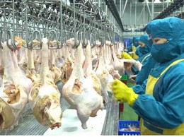 Phường Dương Nội kiểm tra, truy xuất nguồn gốc thực phẩm tại các đơn vị cung ứng thực phẩm cho các trường học trên địa bàn phường