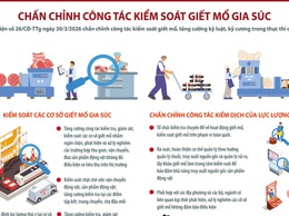 Chấn chỉnh công tác kiểm soát giết mổ, tăng cường kỷ luật, kỷ cương trong thực thi công vụ.