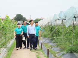 HỘI NÔNG DÂN XÃ CỔ ĐÔ TỔ CHỨC THAM QUAN MÔ HÌNH NÔNG NGHIỆP CÔNG NGHỆ CAO TẠI HUYỆN ĐAN PHƯỢNG