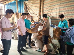 Nhiều gia đình ở xã Thường Tín:Phát triển kinh tế từ nguồn vốn chính sách