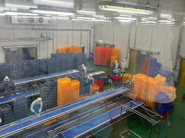 Thanh Oai kiểm tra, truy xuất nguồn gốc thực phẩm phục vụ bữa ăn bán trú của học sinh