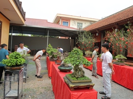 Câu lạc bộ Sinh vật cảnh Trung Hòa, xã Phú Nghĩa tổ chức trưng bày sinh vật cảnh chào mừng Lễ hội truyền thống làng Trung Cao năm 2026