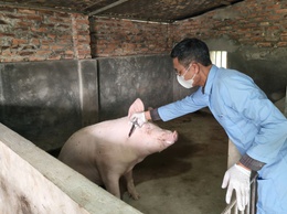 TRUNG TÂM DỊCH VỤ TỔNG HỢP XÃ  TỔ CHỨC TIÊM PHÒNG VẮC XIN CHO ĐÀN GIA SÚC, GIA CẦM