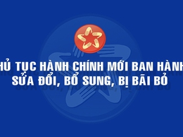 Công bố danh mục thủ tục hành chính bị bãi bỏ thuộc phạm vi chức năng quản lý nhà nước của Sở Y tế thành phố Hà Nội