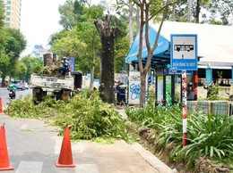 Công bố quy trình điện tử mới trong lĩnh vực hạ tầng kỹ thuật đô thị