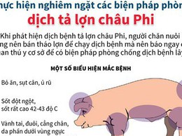 Đảm bảo an toàn thực phẩm trước tình hình dịch Dịch tả lợn châu Phi diễn biến phức tạp trên địa bàn

