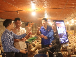 Đại Xuyên: Livestream trực tiếp tại trang trại để quảng bá nông sản OCOP