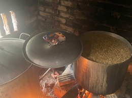 Trung tâm dịch vụ tổng hợp xã Xuân Mai tăng cường hướng dẫn diệt chuột bảo vệ lúa vụ xuân