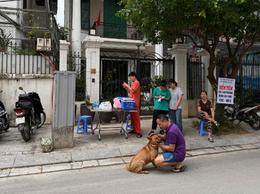 Thực hiện nghiêm quy định nuôi chó, mèo để phòng, chống bệnh dại