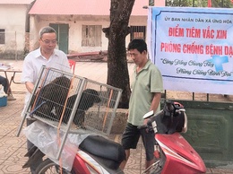 TIÊM VẮC XIN DẠI CHO CHÓ, MÈO – BIỆN PHÁP HIỆU QUẢ BẢO VỆ SỨC KHỎE CỘNG ĐỒNG.