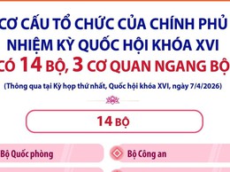 CƠ CẤU TỔ CHỨC CỦA CHÍNH PHỦ NHIỆM KỲ QUỐC HỘI KHÓA XVI