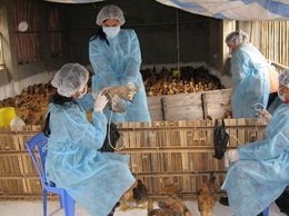 Hà Nội đẩy mạnh cải cách hành chính lĩnh vực nông nghiệp: công bố 58 quy trình mới theo quyết định 383/QĐ-TTPVHCC
