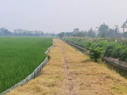 Bài tuyên truyền về việc hạn chế sử dụng thuốc trừ cỏ cháy trên đồng ruộng