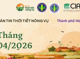 Bản tin thời tiết nông vụ tháng 4 năm 2026