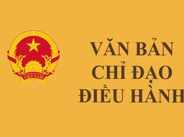 Đảng Phường Tương Mai ban hành Công văn số 282-CV/ĐU ngày 2/4/2026 về việc tăng cường lãnh đạo, chỉ đạo công tác phòng, chống bệnh Dịch tả lợn Châu Phi