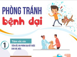 Tuyên truyền về phòng chống bệnh dại